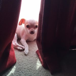 Meet your Posher, Erich